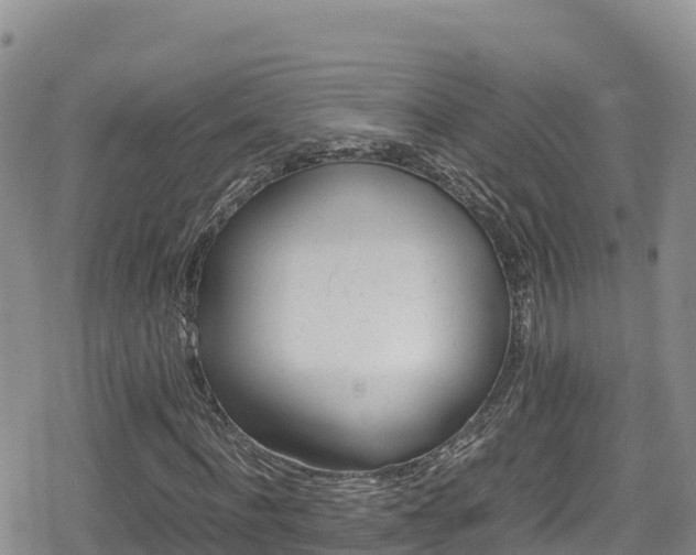 X0000080710916200612221139