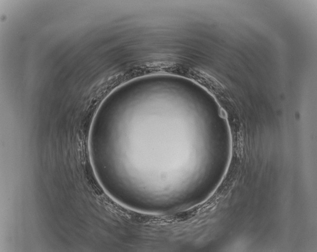 X0000080710917200612221139