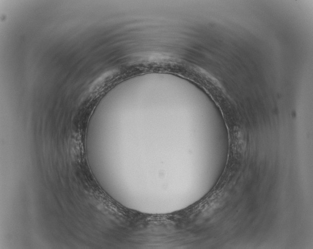 X0000080710918200612221139