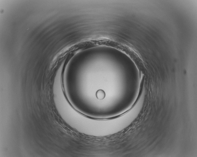 X0000080710920200612221139