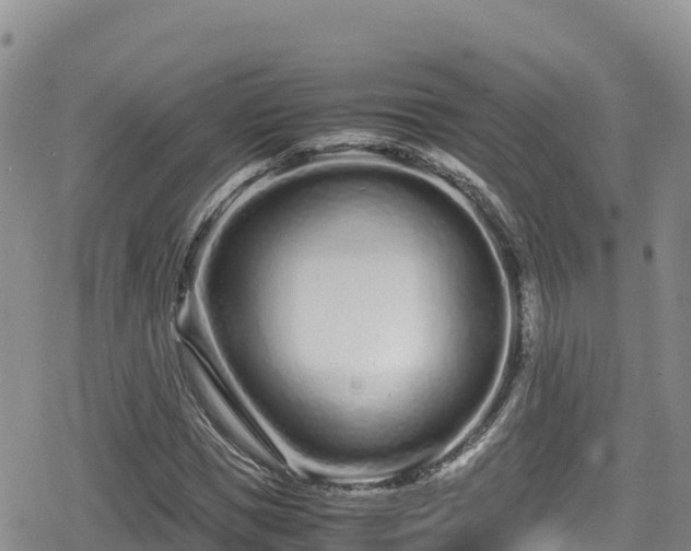 X0000080710921200612221139