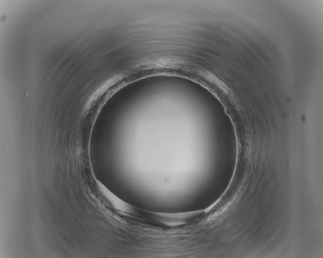 X0000080710922200612221139