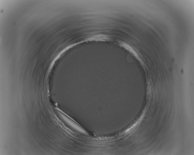 X0000080710923200612221139