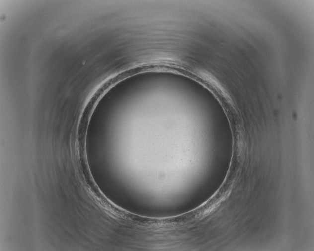 X0000080710924200612221139