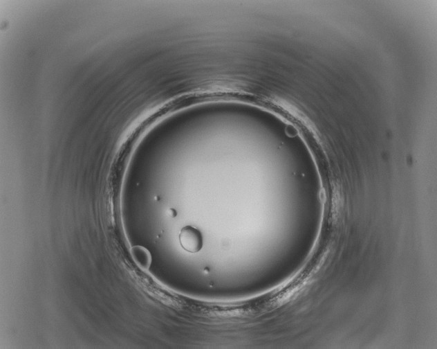 X0000080710925200612221139