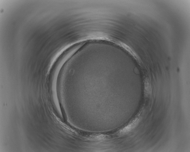 X0000080710926200612221139