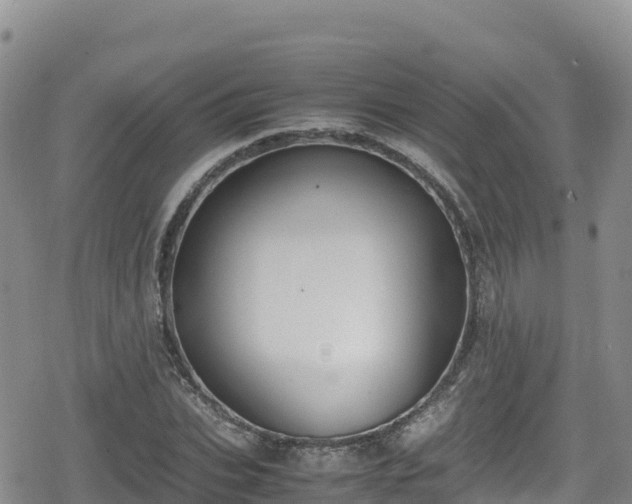 X0000080710927200612221139