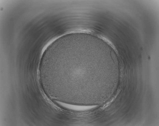 X0000080710928200612221139