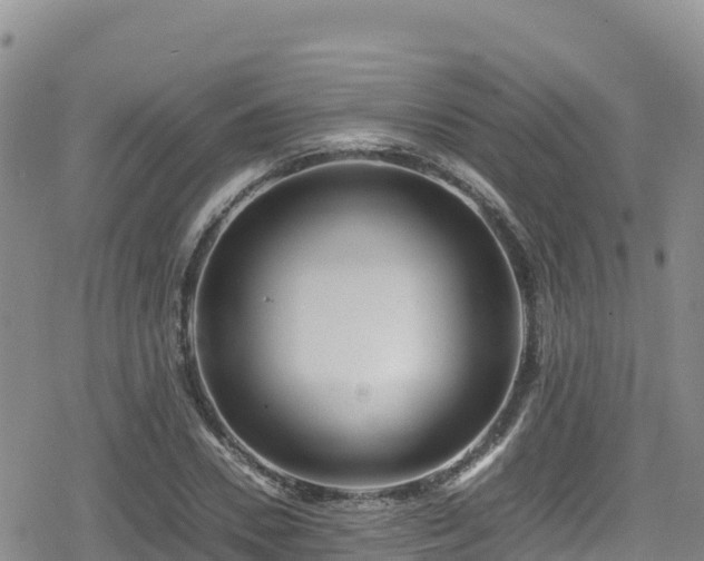 X0000080710930200612221139