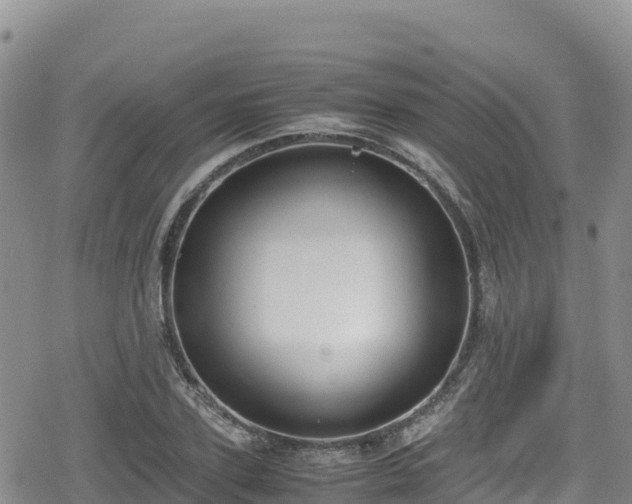 X0000080710931200612221139