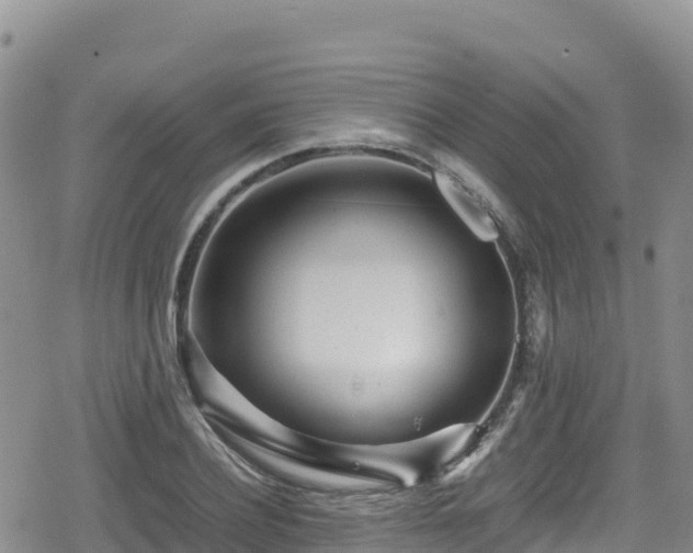 X0000080710932200612221139