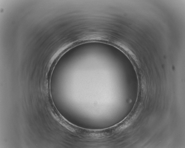 X0000080710933200612221139