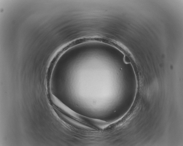 X0000080710935200612221139