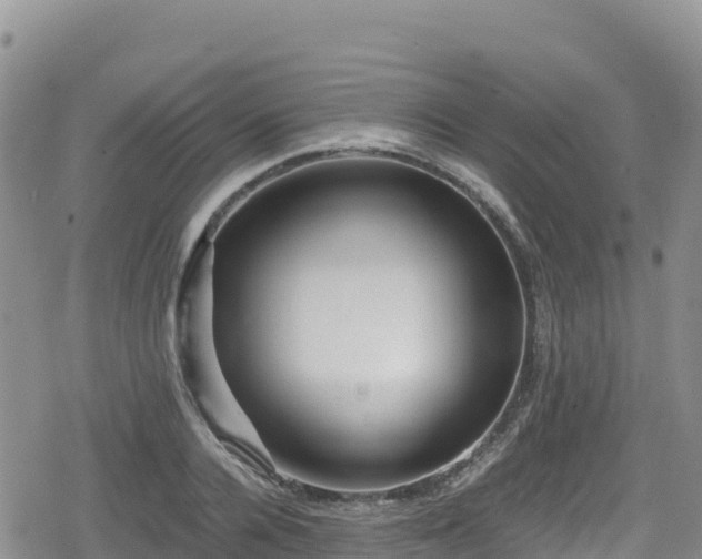 X0000080710936200612221139