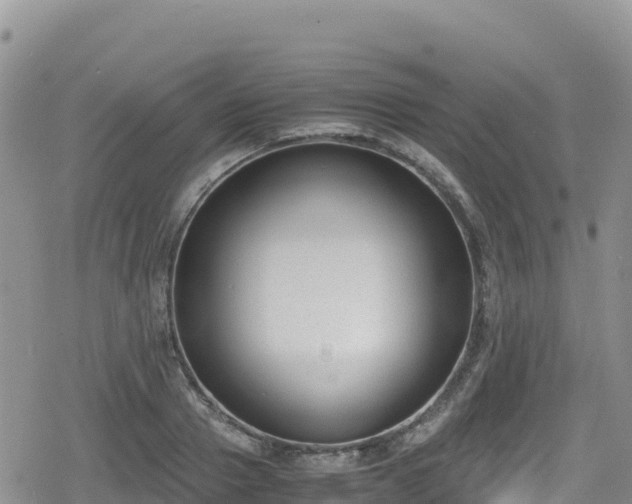 X0000080710937200612221139