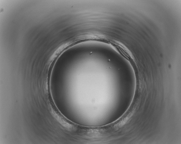 X0000080710938200612221139