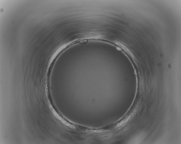 X0000080710941200612221139