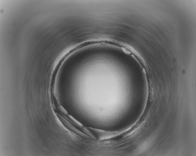 X0000080710943200612221139