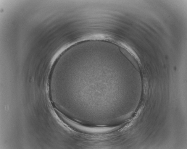 X0000080710944200612221139