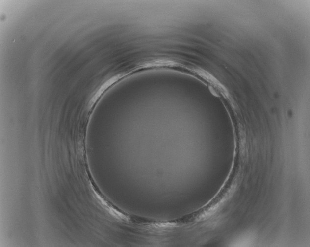 X0000080710945200612221139