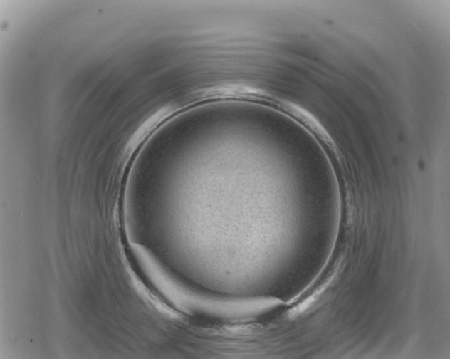 X0000080710946200612221139