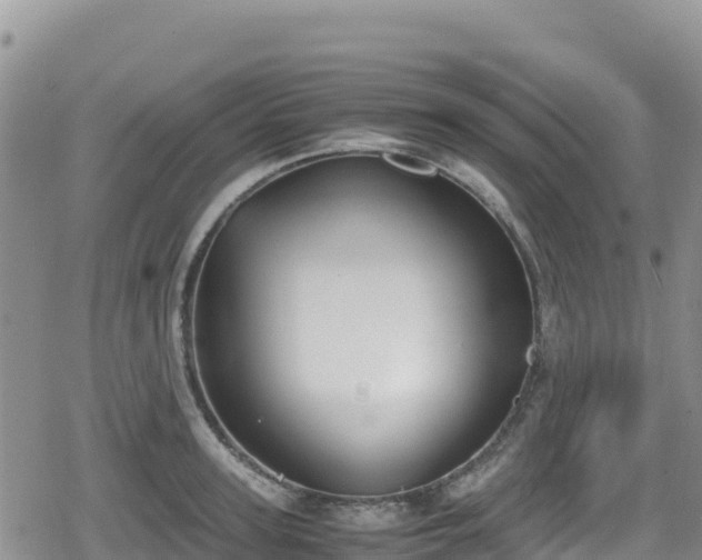 X0000080710947200612221139