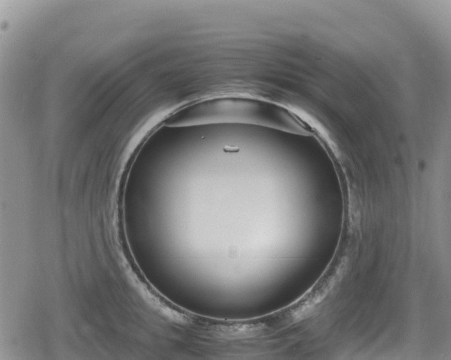 X0000080710949200612221139