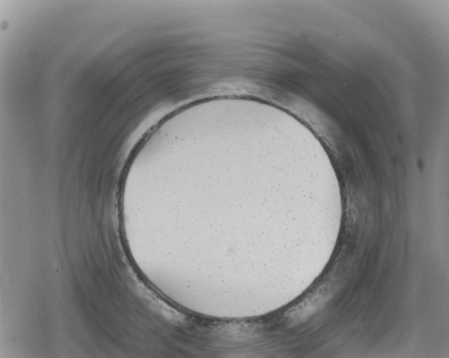 X0000080710950200612221139