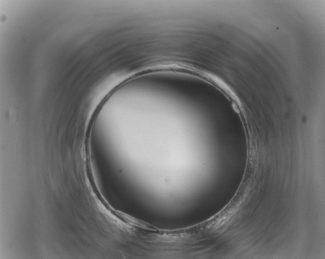 X0000080710951200612221139