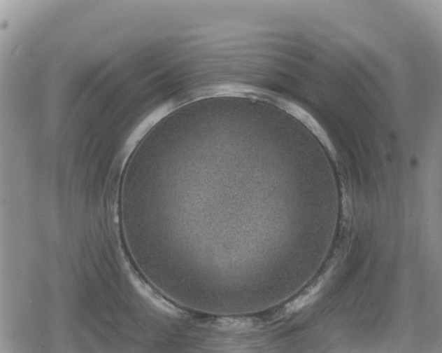 X0000080710954200612221139