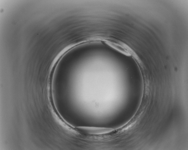 X0000080710955200612221139