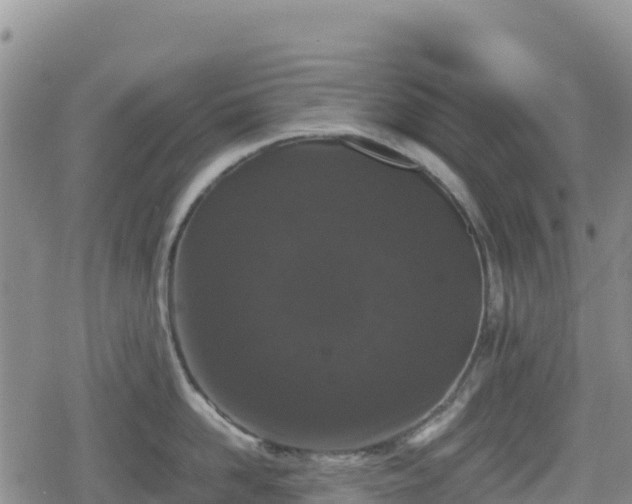 X0000080710958200612221139