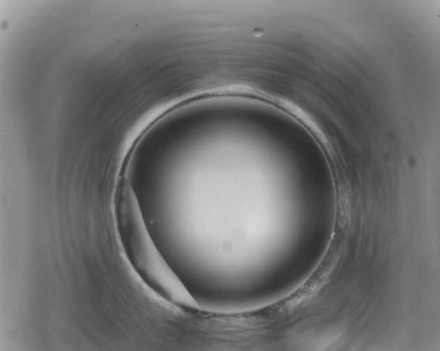 X0000080710959200612221139