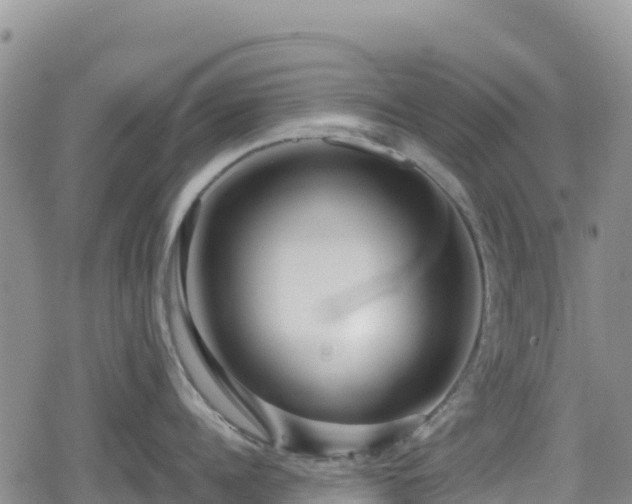 X0000080710960200612221139