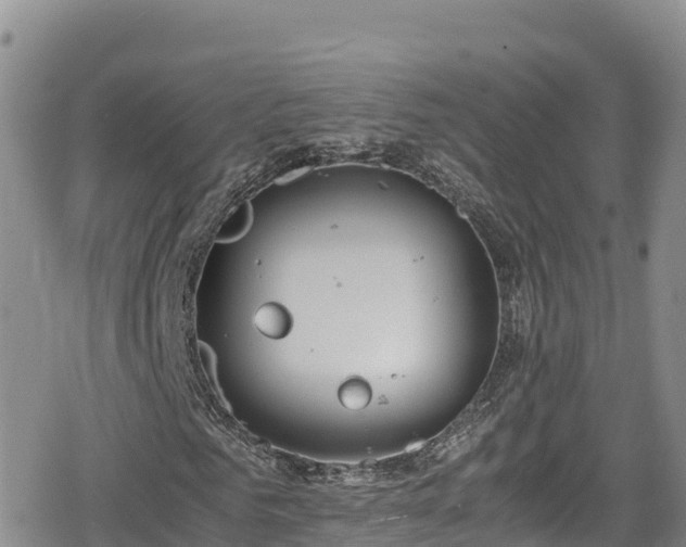 X0000080710961200612221139