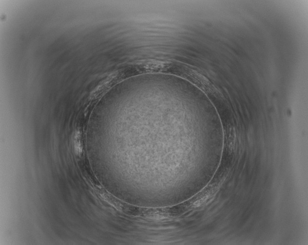 X0000080710962200612221139