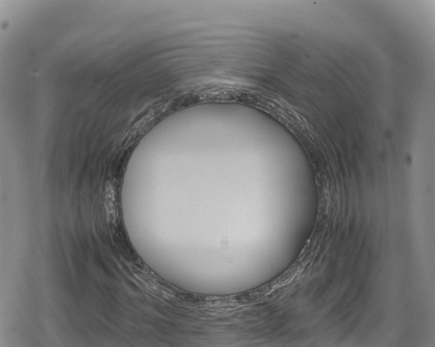 X0000080710964200612221139