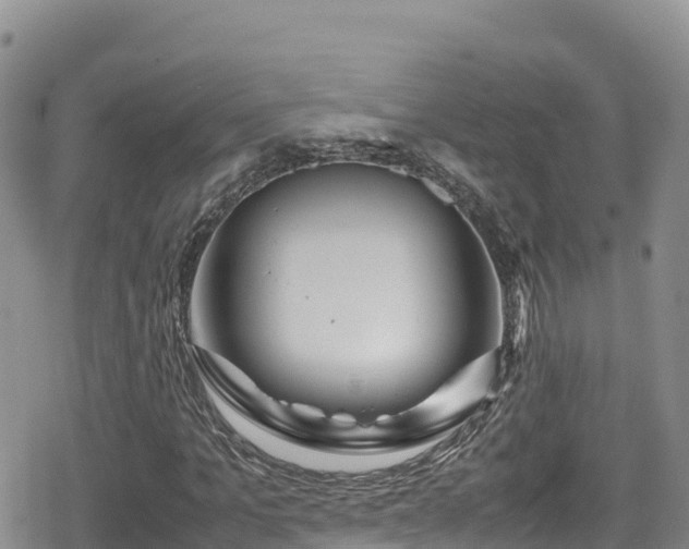 X0000080710965200612221139