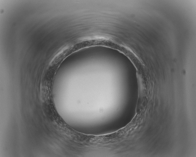 X0000080710967200612221139