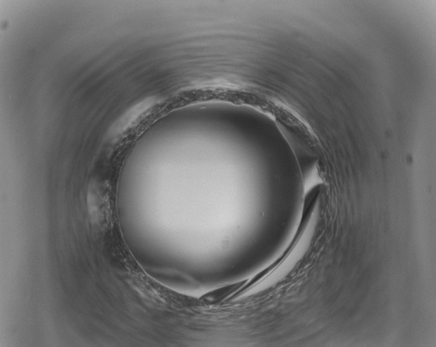 X0000080710968200612221139