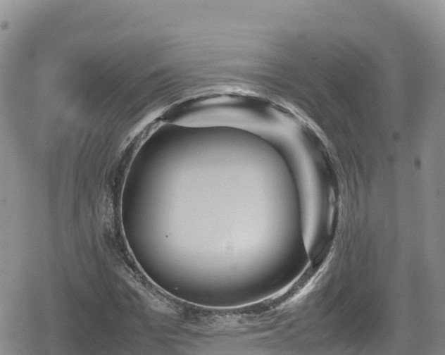 X0000080710969200612221138