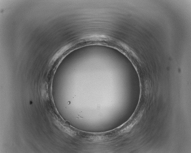 X0000080710970200612221138