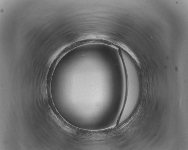 X0000080710972200612221138