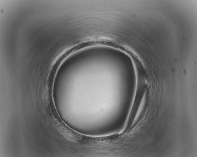 X0000080710975200612221138