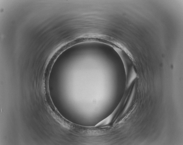 X0000080710976200612221138