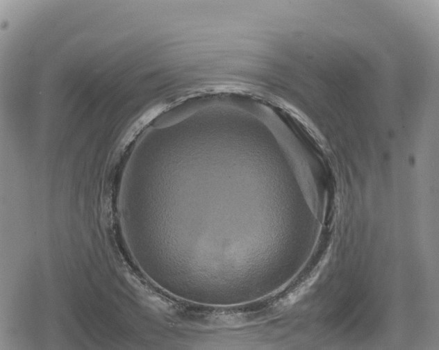 X0000080710977200612221138