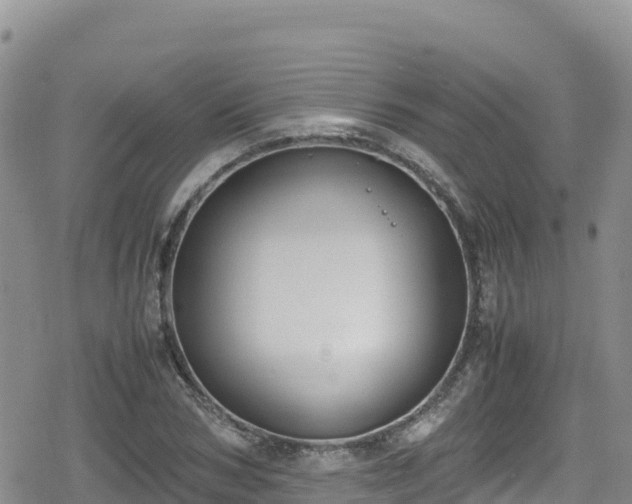 X0000080710978200612221138