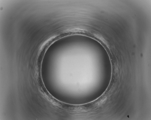 X0000080710979200612221138