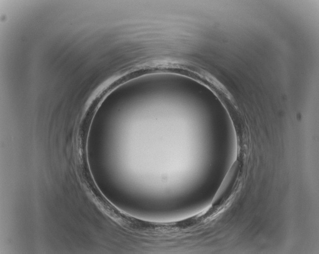 X0000080710981200612221138