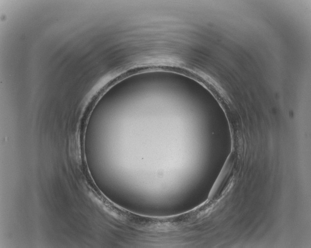 X0000080710982200612221138